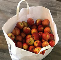 2020 kg äpplen redo att mustas - Nyholms Lantgård