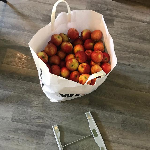 20 kg äpplen - Nyholms Lantgård